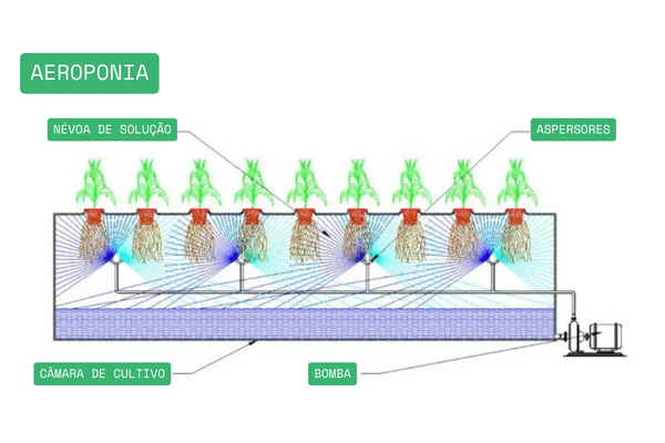 Esquema ilustrativo do Sistema de Aeroponia em funcionamento.