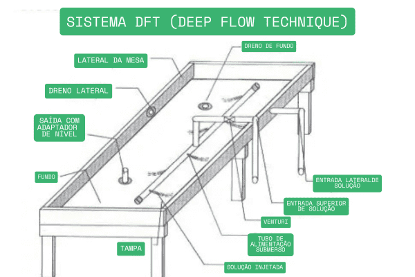 Esquema ilustrativo do sistema DFT.