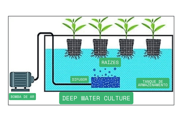 Esquema ilustrativo do sistema DWC.
