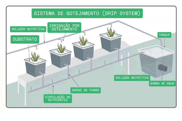 Esquema ilustrativo do sistema de Gotejamento.