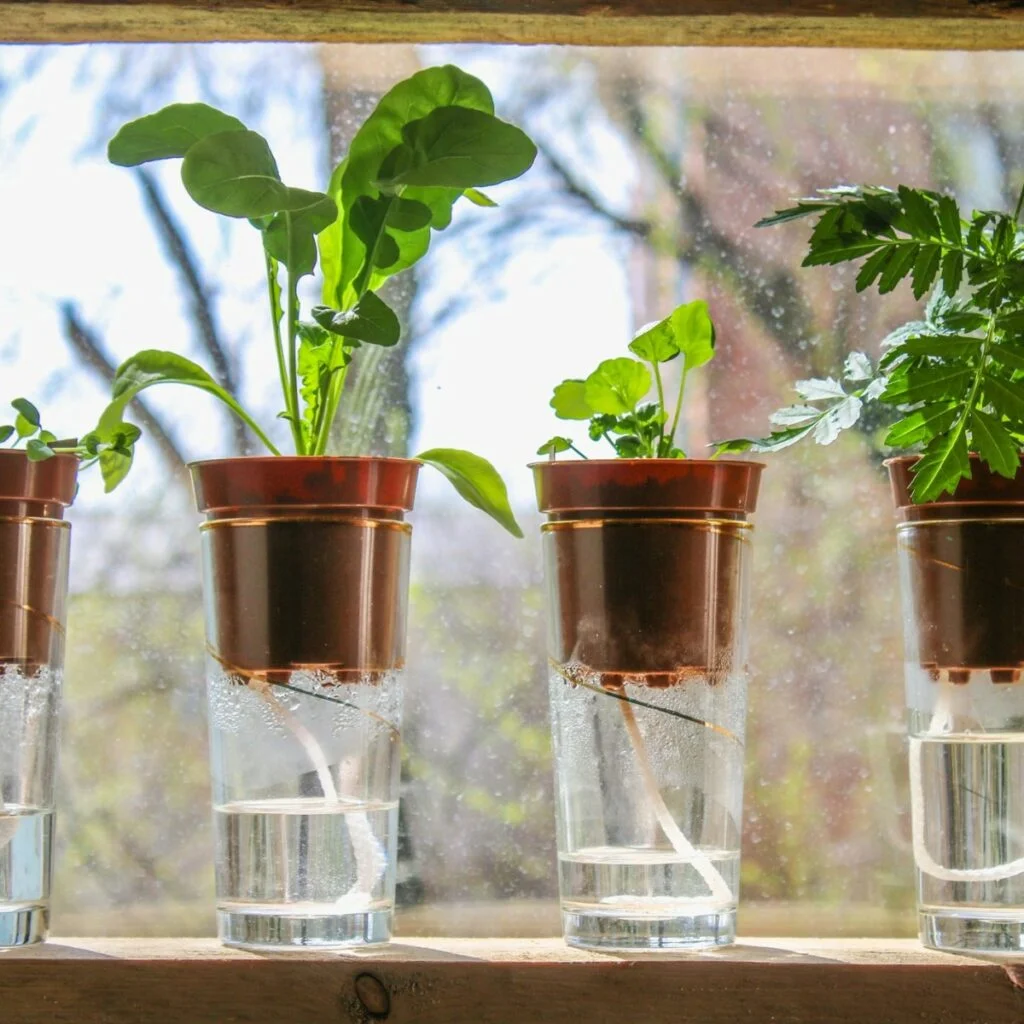 Sistema de Substrato (Pavio ou Manual).