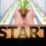 Mãos segurando muda de alface com sistema hidropônico ao fundo e a palavra START – início no melhor sistema hidropônico para iniciantes