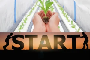Mãos segurando muda de alface com sistema hidropônico ao fundo e a palavra START – início no melhor sistema hidropônico para iniciantes