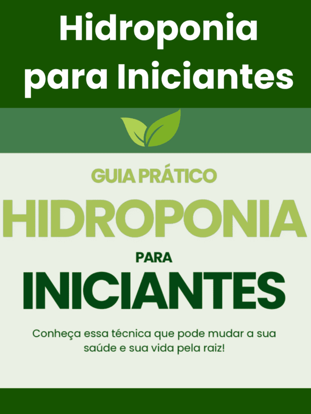 Hidroponia para Iniciantes: Como Montar Seu Cultivo em Casa