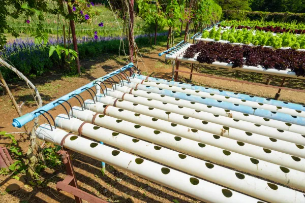 Estrutura de tubos NFT para cultivo hidropônico ao ar livre