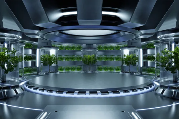 Plantas cultivadas em sistema hidropônico futurista demonstrando segurança alimentar com hidroponia