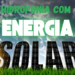 Texto ilustrativo “Hidroponia com Energia Solar” sobre fundo de céu com nuvens e grama